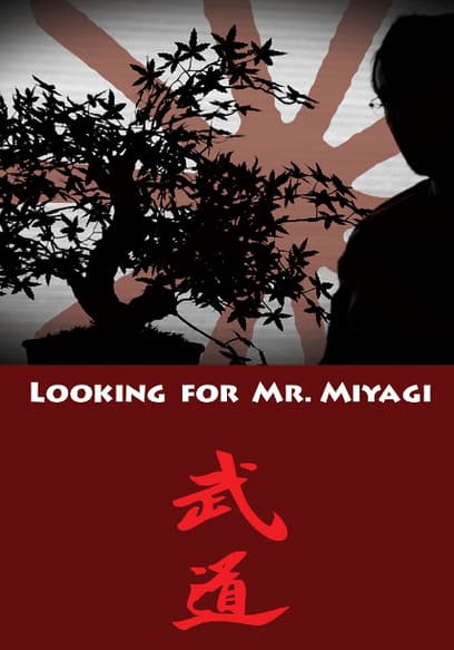 Looking for Mr. Miyagi