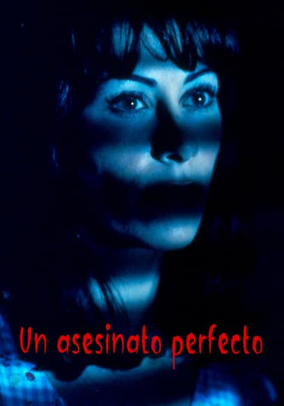 Un Asesinato Perfecto (Doblado)