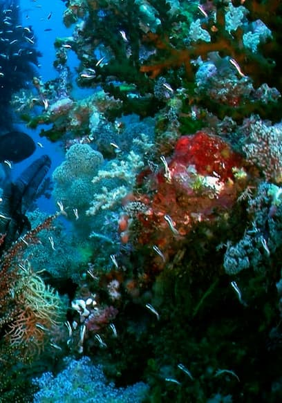 S01:E08 - Underwater poster