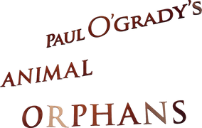 Paul O'Grady's Animal Orphans