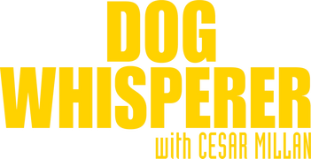 Dog Whisperer with Cesar Millan