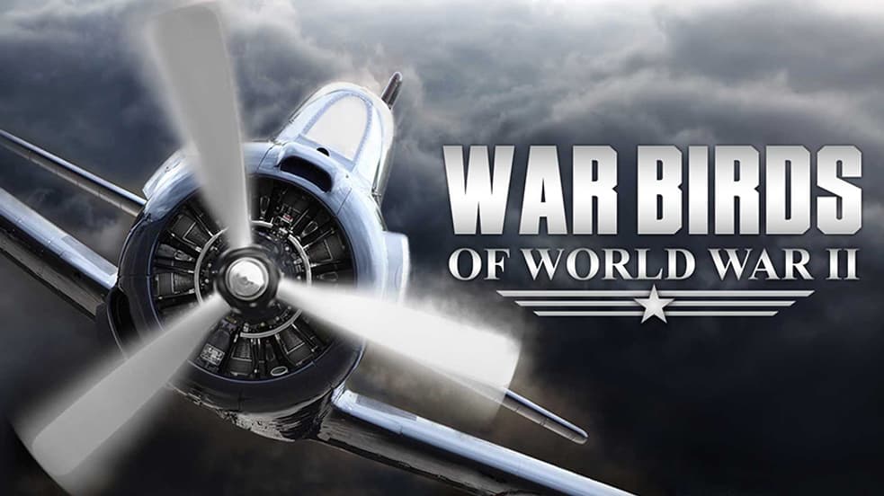 Watch Warbirds of World War II Streaming Online | Tubi Free TV