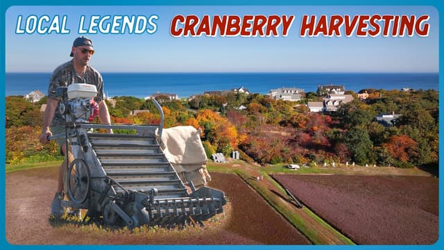 S01:E19 - Harvesting Cranberries in Cape Cod