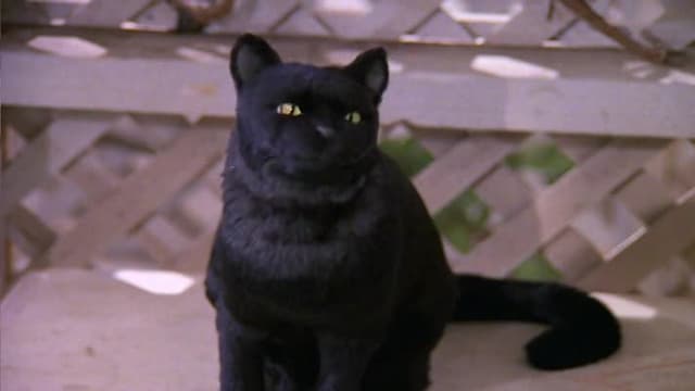 S04:E03 - Salem and Juliette