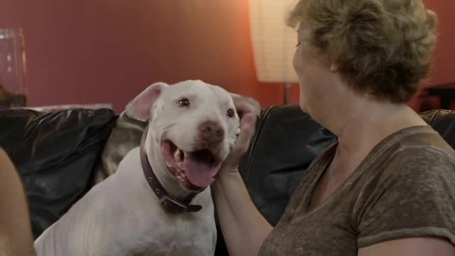 S13:E03 - A Family Connection