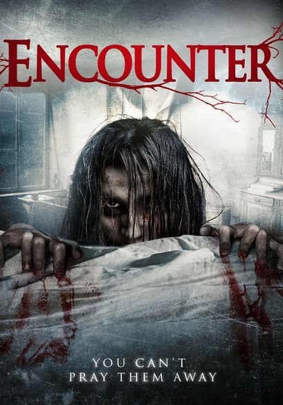 Encounter