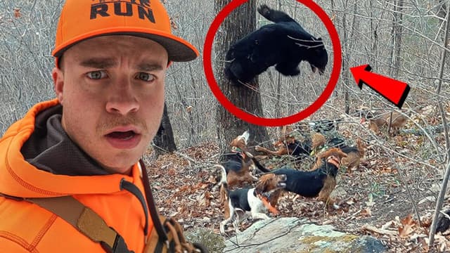 S01:E04 - This Bear Is Acting WILD!