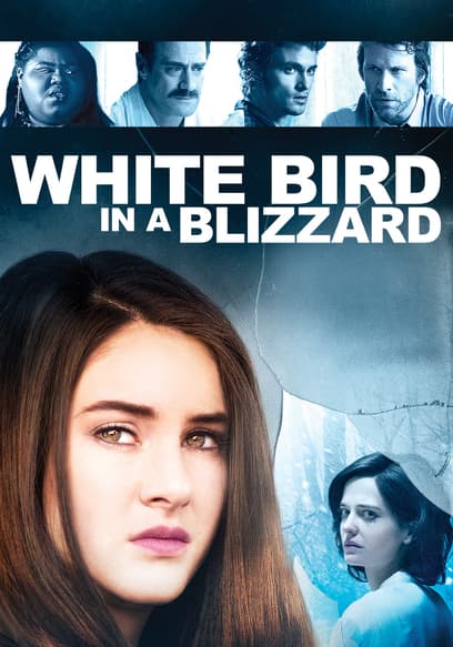 White Bird in a Blizzard