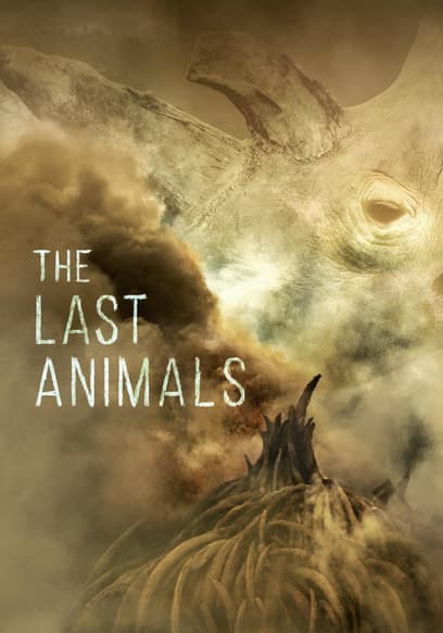 The Last Animals