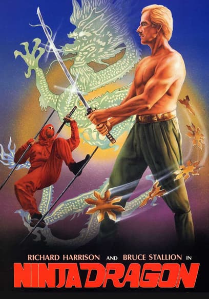 Ninja Dragon (Español)