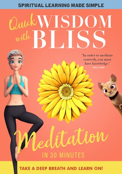 Quick Wisdom With Bliss: Meditation in 30 Minutes