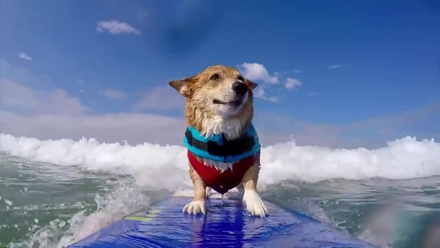 S01:E14 - Episode 14