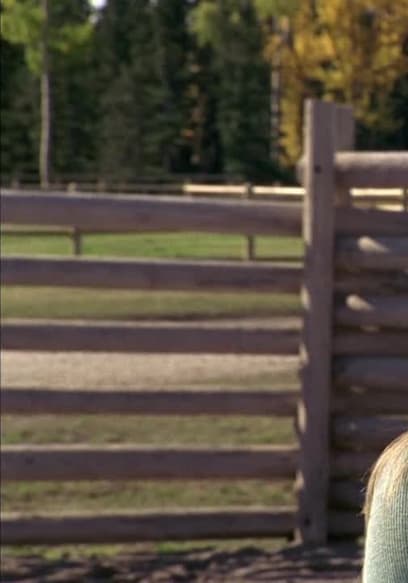 S02:E12 - Divorce Horse poster