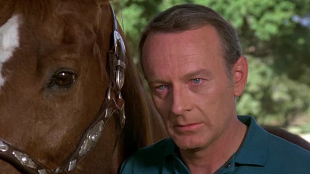 S04:E10 - Portrait of Solange / The Also Rans