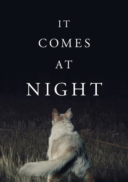 It Comes at Night