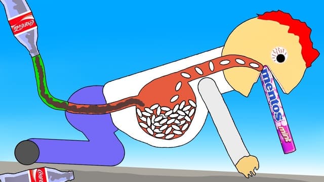 S27:E17 - Experiments & Deserted Island