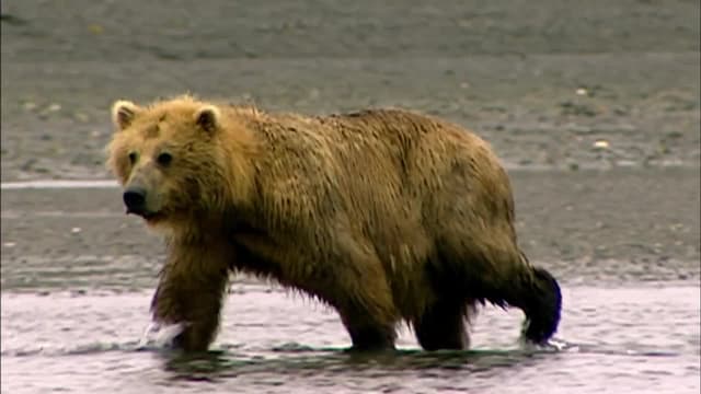 S01:E03 - Islas del frio