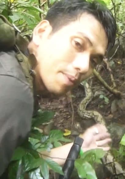 S01:E01 - Python, the Great Serpent of the Forest: A Legendary Silent Killer poster