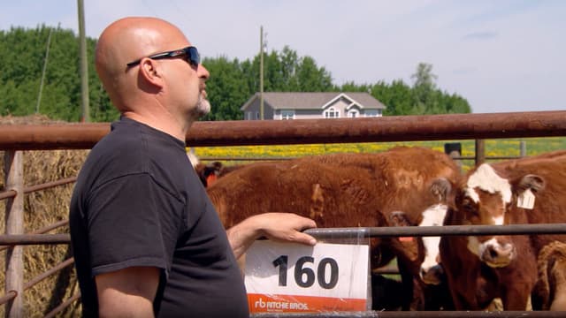 S02:E10 - Spruce View