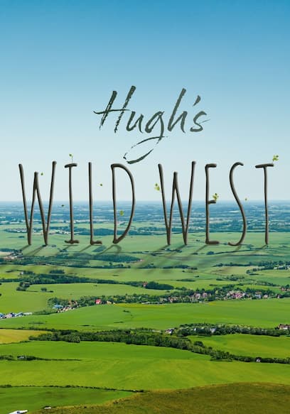 S01:E12 - Hedgehog Hospital