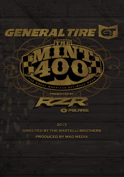 The 2013 General Tire Mint 400