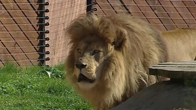 S04:E10 - Episode 10