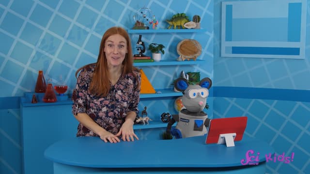 S01:E10 - Most Amazing Insect Facts