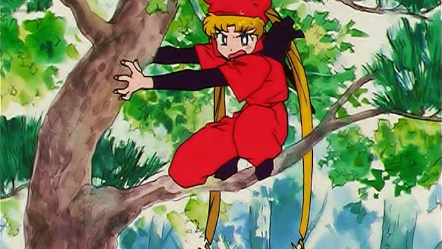 S04:E09 - Protect Mamoru: Ninja Usagi's Jealousy