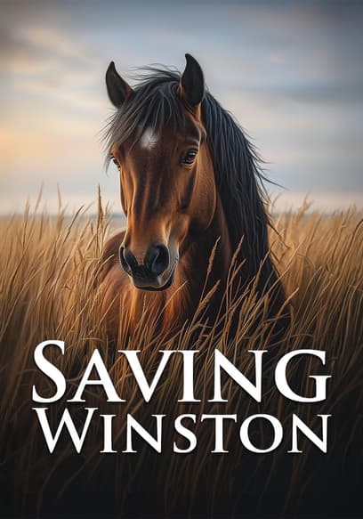 Saving Winston