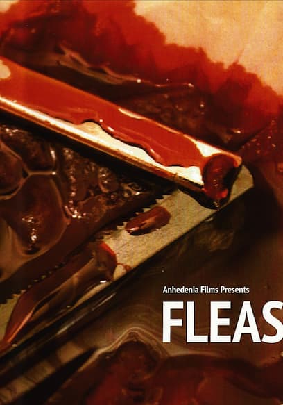 Fleas