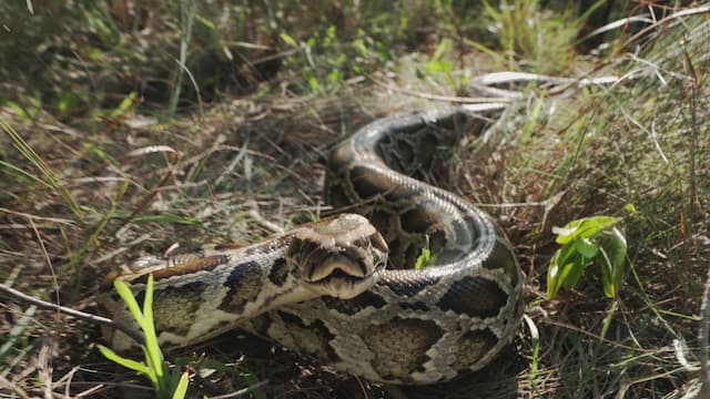 S04:E16 - Full Speed Ahead