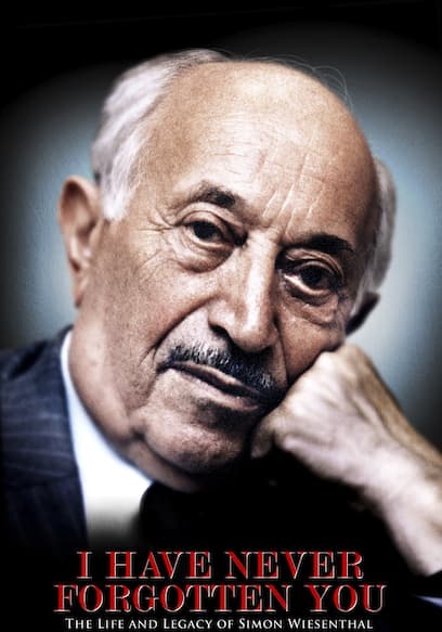 I Have Never Forgotten You: The Life and Legacy of Simon Wiesenthal