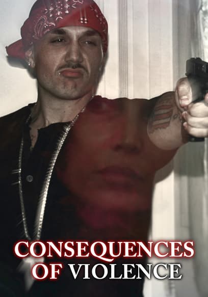 Consequences of Violence