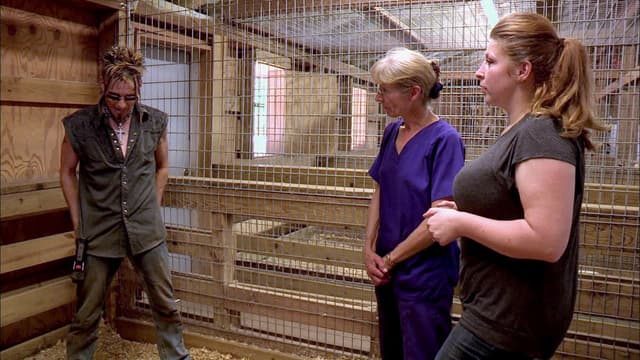 S06:E04 - Racoon Cage Match