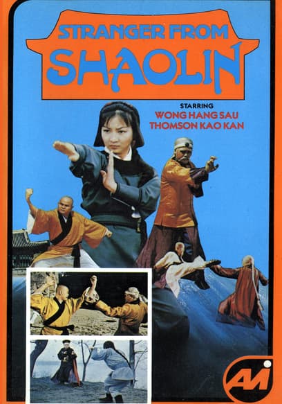 Stranger From Shaolin