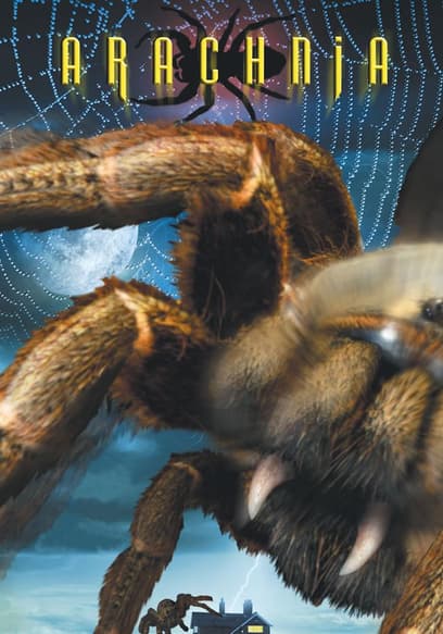 Arachnia (Broadcast Edit) poster