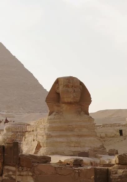 S01:E08 - Fire in King Tut's Tomb poster