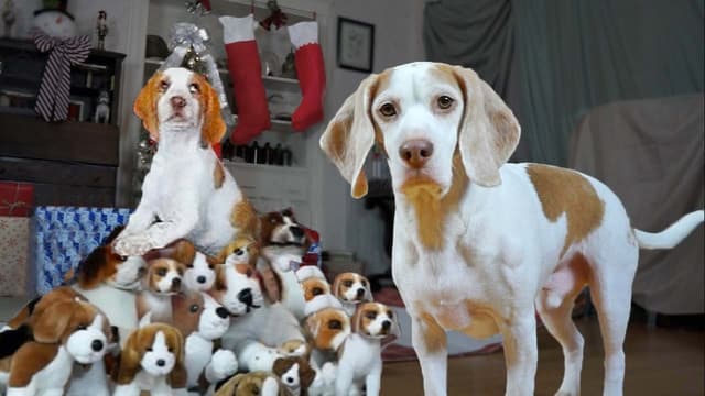 S01:E09 - Dogs, Christmas, and Giant Props