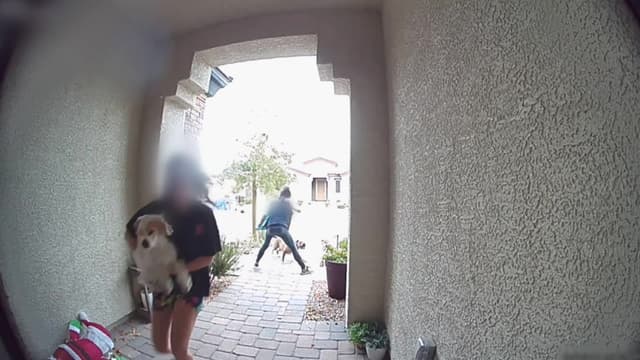 S02:E11 - Grab and Smash