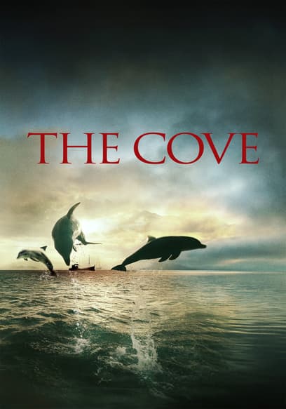 The Cove