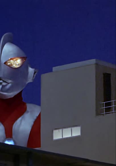 S01:E18 - Brother From Another Planet poster
