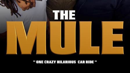 Watch the mule online free sale