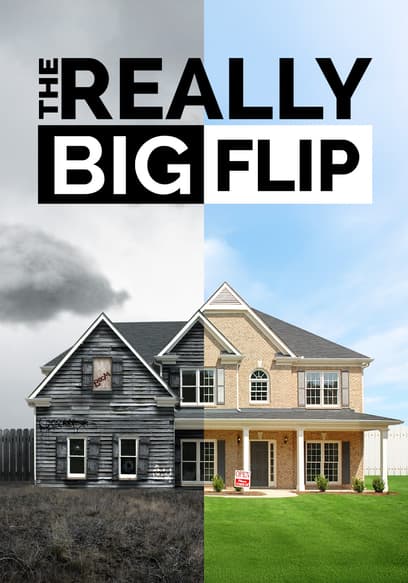 The Really Big Flip poster