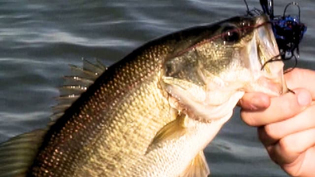 S02:E04 - Big Bass Below the Border: MazatlÃ¡n, Part 2