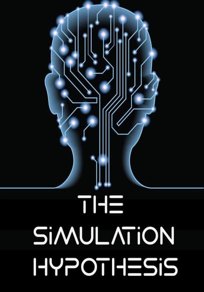 The Simulation Hypothesis