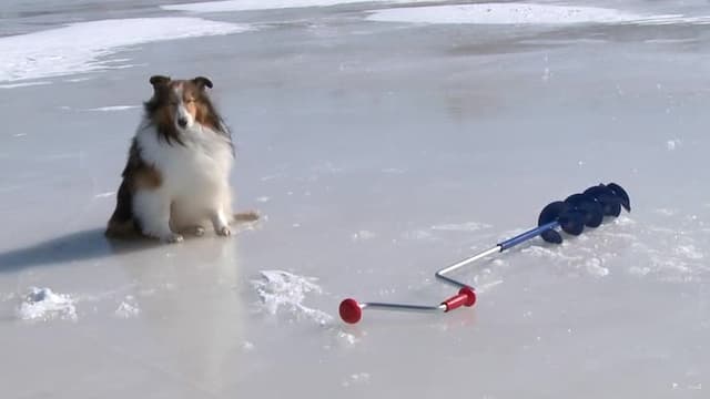 S03:E312 - Ice Fishing