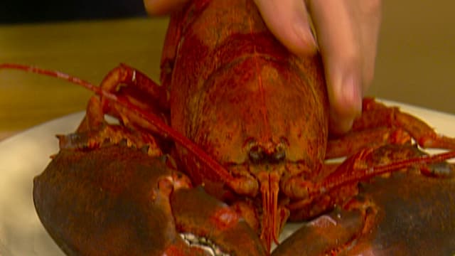 S01:E04 - Cooking Under Pressure