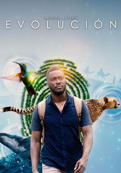 S01:E06 - Restauración