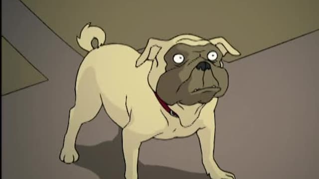 S03:E13 - The Bad Doggie Syndrome