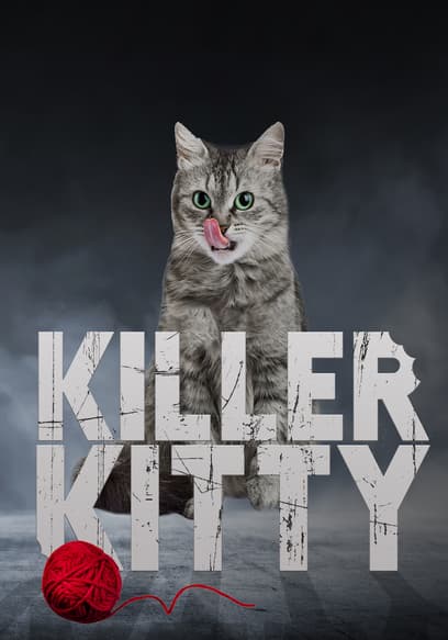 Killer Kitty